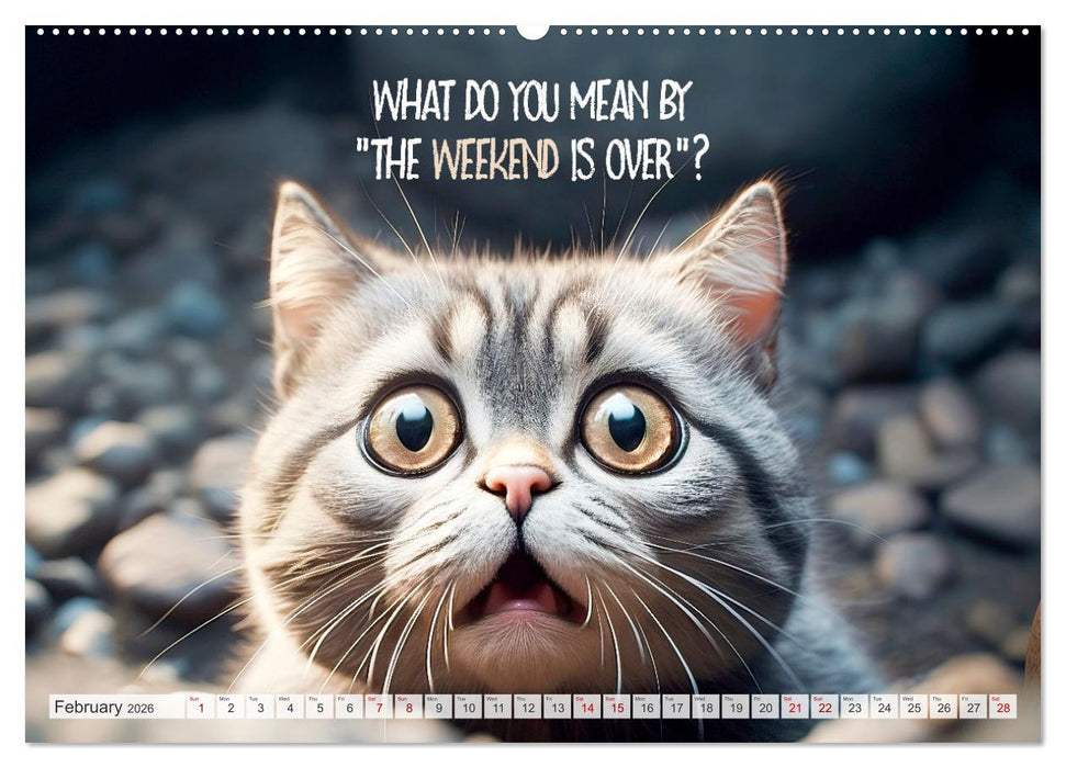 WITTY CATS Cool sayings (CALVENDO Monthly Calendar 2026)