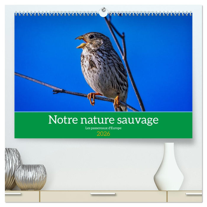 Notre nature sauvage, les passereaux d'Europe (CALVENDO Calendrier supérieur 2026)