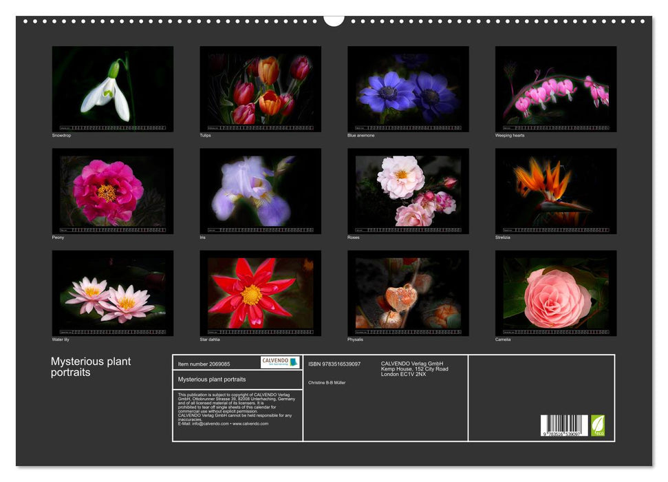 Mysterious plant portraits (CALVENDO Monthly Calendar 2026)