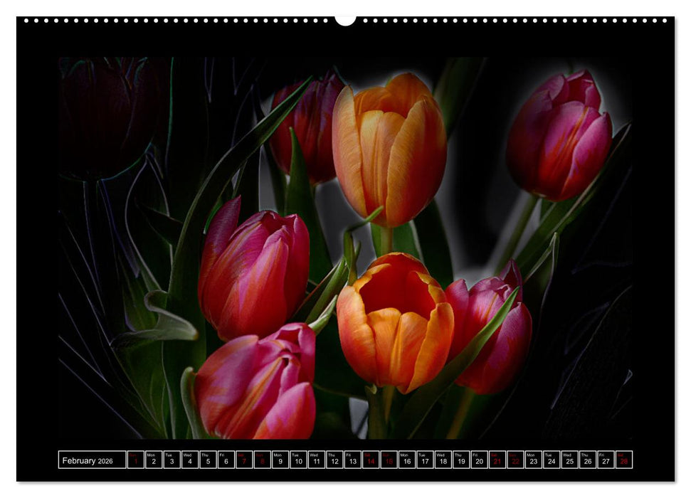 Mysterious plant portraits (CALVENDO Monthly Calendar 2026)