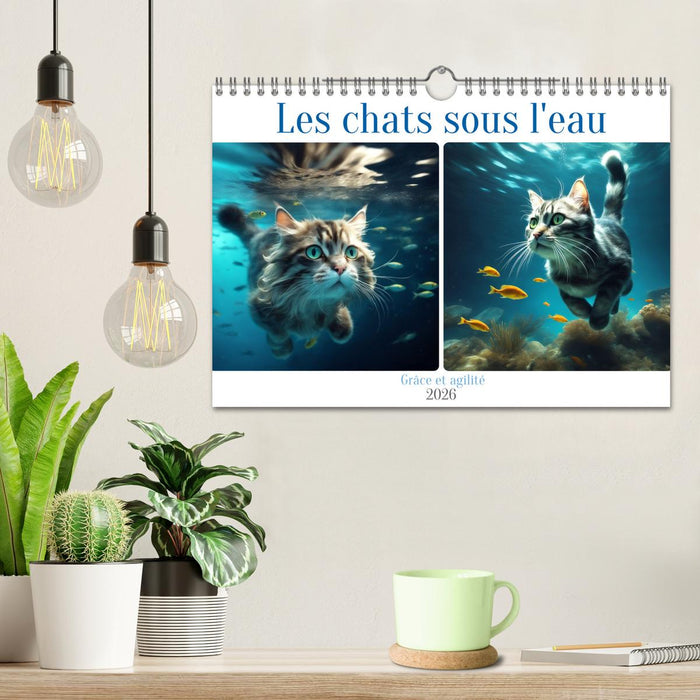 Les chats sous l'eau (CALVENDO Calendrier mensuel 2026)
