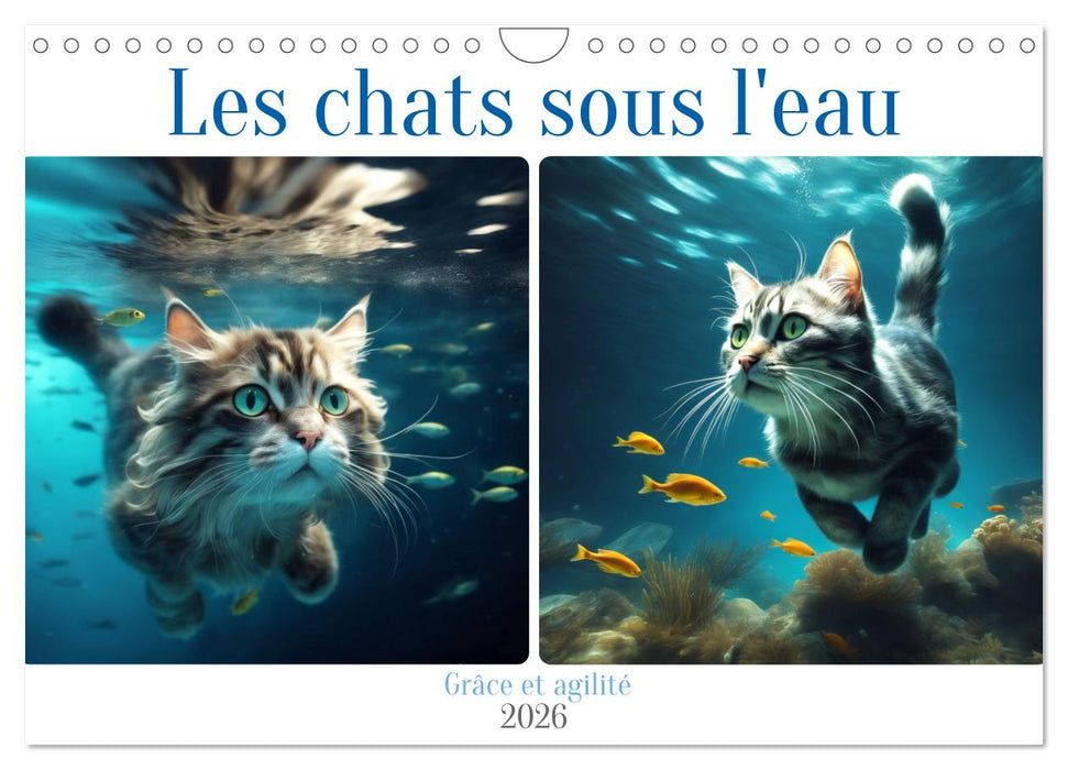 Les chats sous l'eau (CALVENDO Calendrier mensuel 2026)