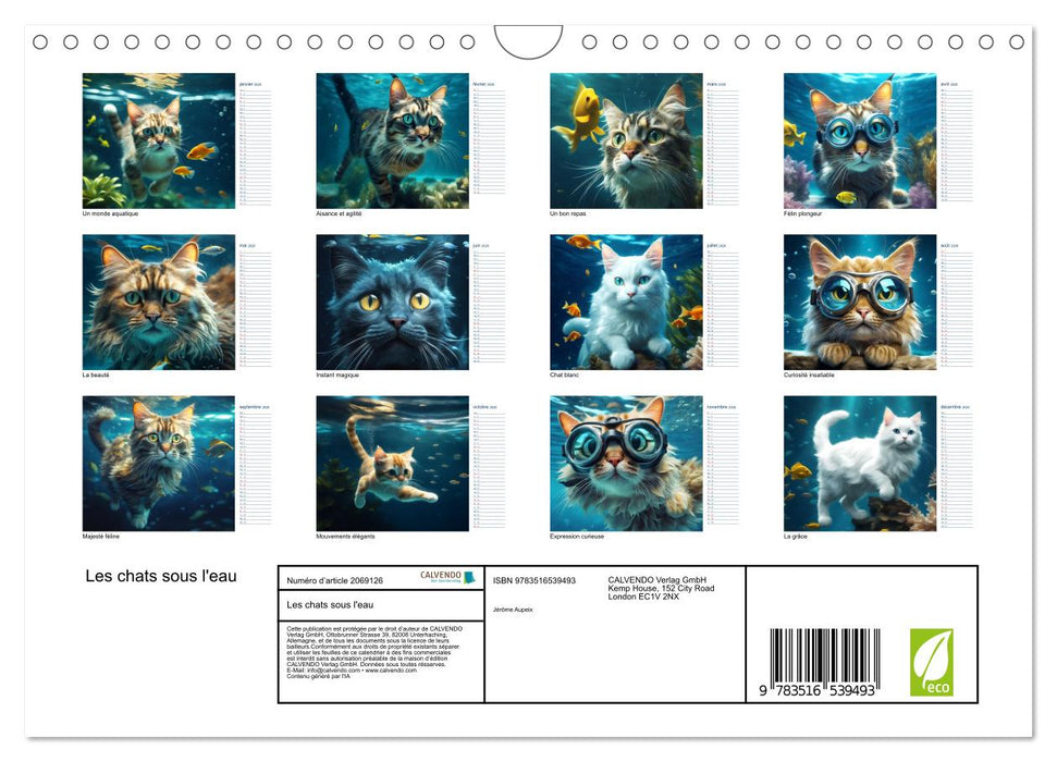 Les chats sous l'eau (CALVENDO Calendrier mensuel 2026)