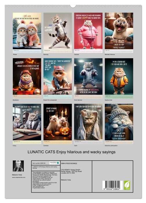 LUNATIC CATS Enjoy hilarious and wacky sayings (CALVENDO Premium-Calendar 2026)