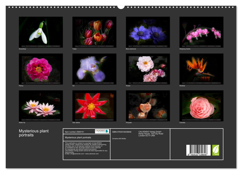 Mysterious plant portraits (CALVENDO Premium-Calendar 2026)