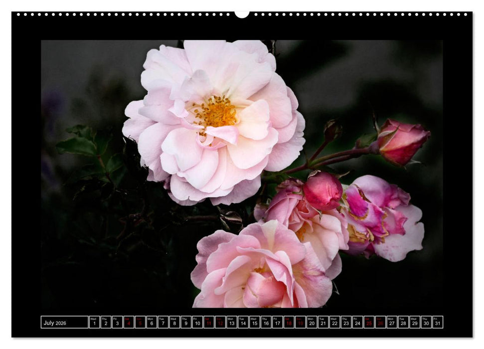 Mysterious plant portraits (CALVENDO Premium-Calendar 2026)