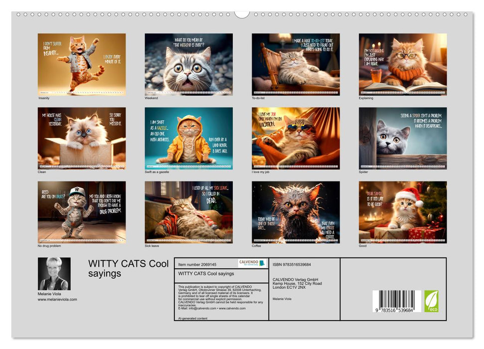 WITTY CATS Cool sayings (CALVENDO Premium-Calendar 2026)