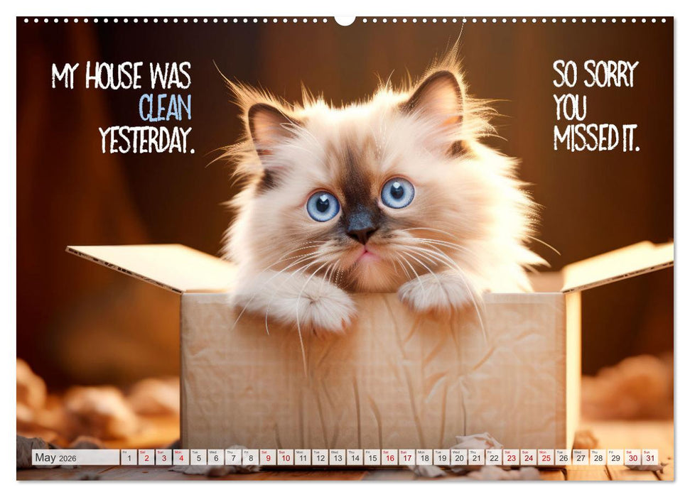 WITTY CATS Cool sayings (CALVENDO Premium-Calendar 2026)