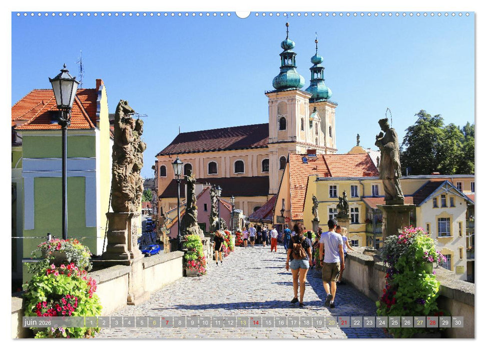 Belle Pologne du Sud (CALVENDO Calendrier mensuel 2026)