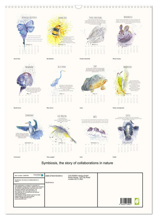 Symbiosis, the story of collaborations in nature (CALVENDO Monthly Calendar 2026)