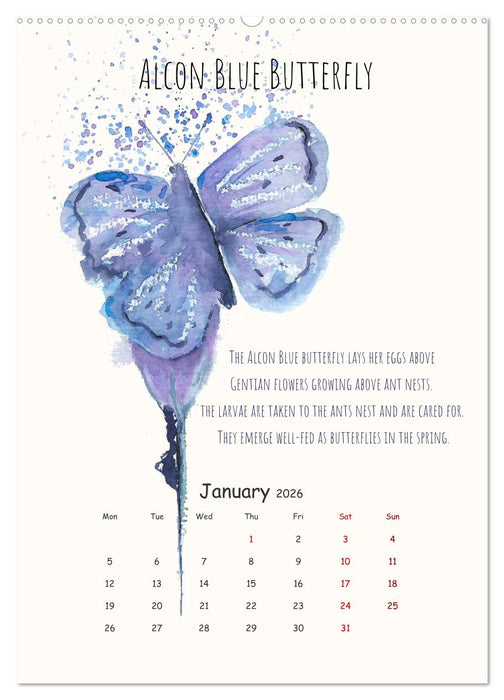 Symbiosis, the story of collaborations in nature (CALVENDO Monthly Calendar 2026)