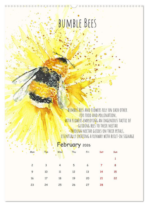 Symbiosis, the story of collaborations in nature (CALVENDO Monthly Calendar 2026)