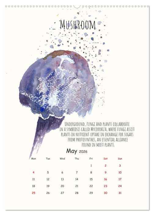 Symbiosis, the story of collaborations in nature (CALVENDO Monthly Calendar 2026)