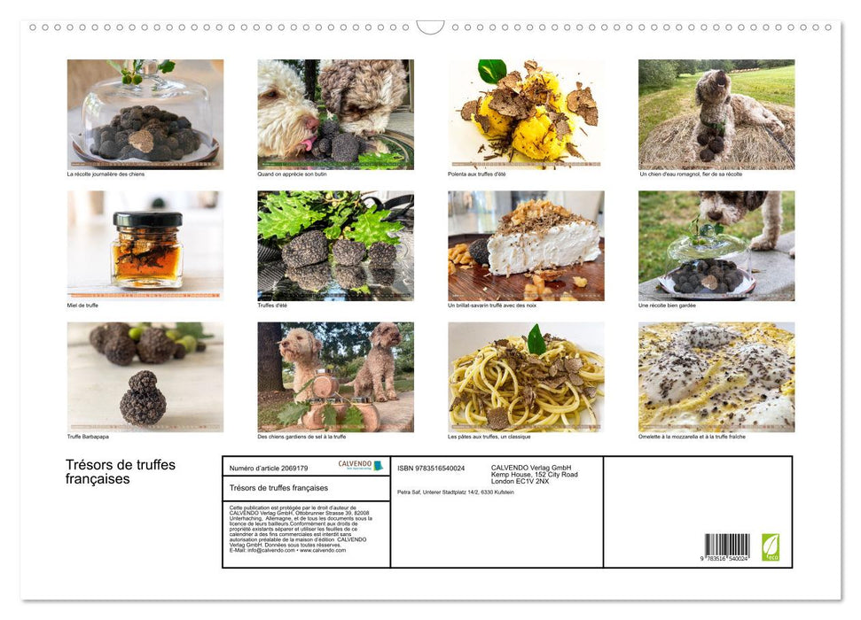 Trésors de truffes françaises (CALVENDO Calendrier mensuel 2026)