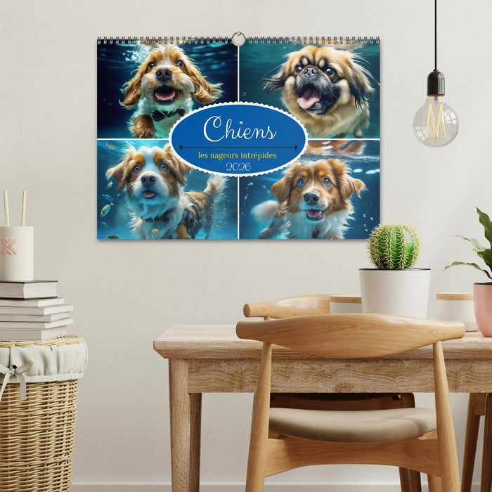 Chiens : les nageurs intrépides (CALVENDO Calendrier mensuel 2026)