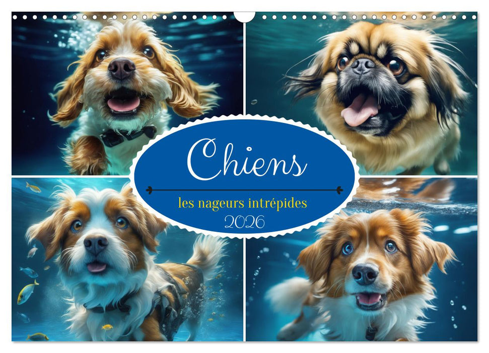 Chiens : les nageurs intrépides (CALVENDO Calendrier mensuel 2026)