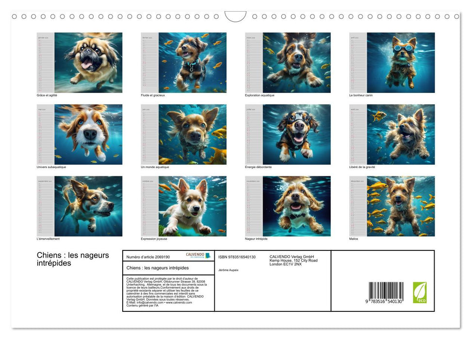 Chiens : les nageurs intrépides (CALVENDO Calendrier mensuel 2026)