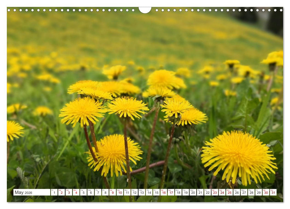 Engadine 2026 - Nature and landscapes (CALVENDO Monthly Calendar 2026)