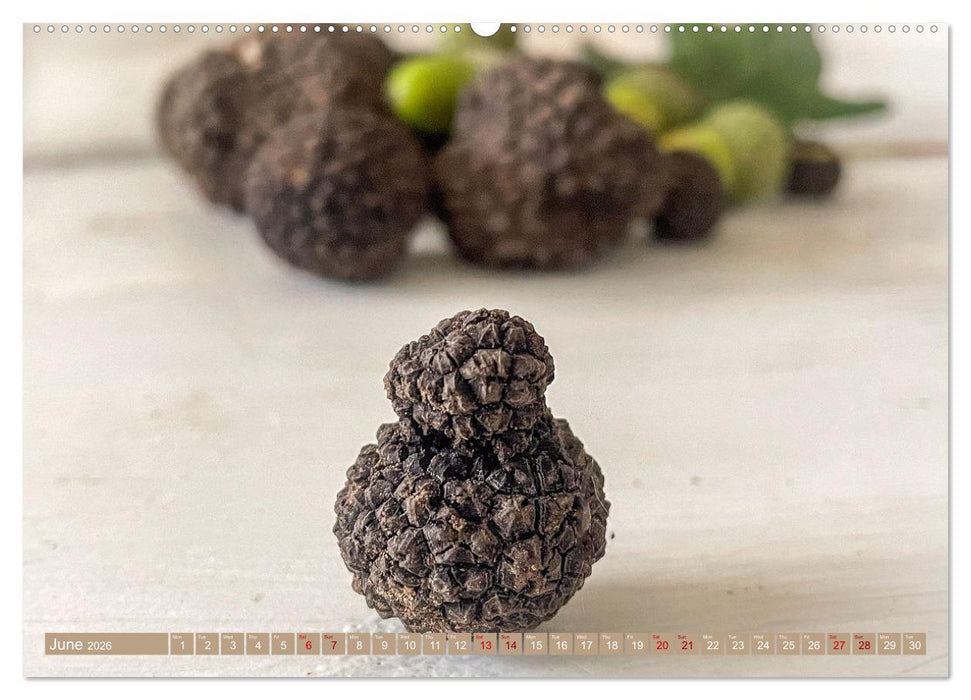 French Truffle Wonders (CALVENDO Monthly Calendar 2026)