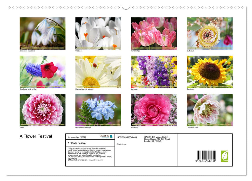 A Flower Festival (CALVENDO Premium-Calendar 2026)