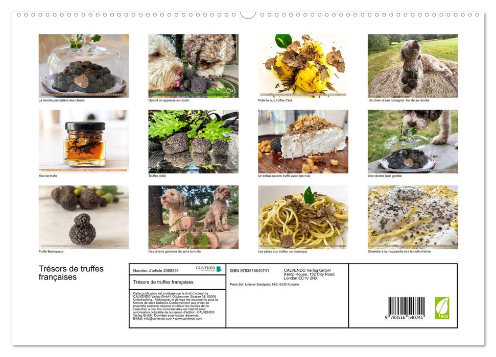 Trésors de truffes françaises (CALVENDO Calendrier supérieur 2026)