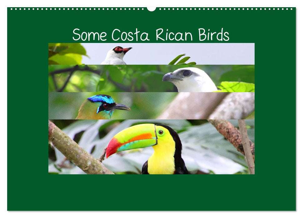 Some Costa Rican Birds (CALVENDO Monthly Calendar 2026)