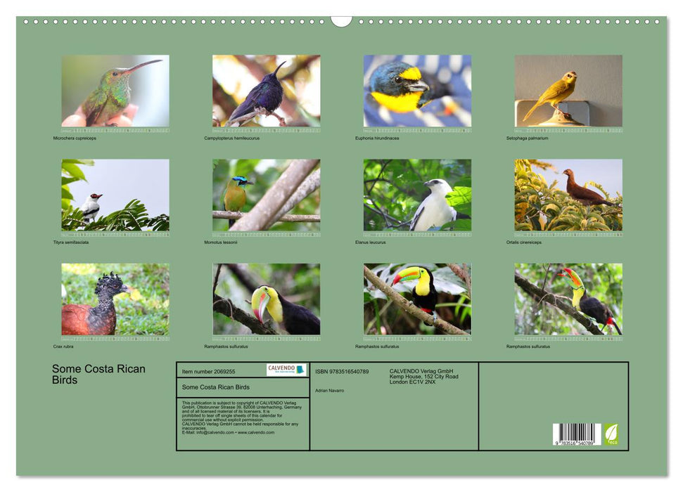 Some Costa Rican Birds (CALVENDO Monthly Calendar 2026)