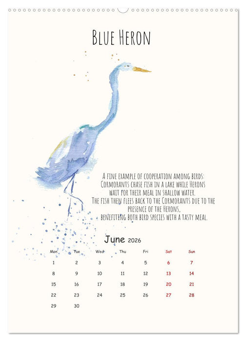 Symbiosis, the story of collaborations in nature (CALVENDO Premium-Calendar 2026)