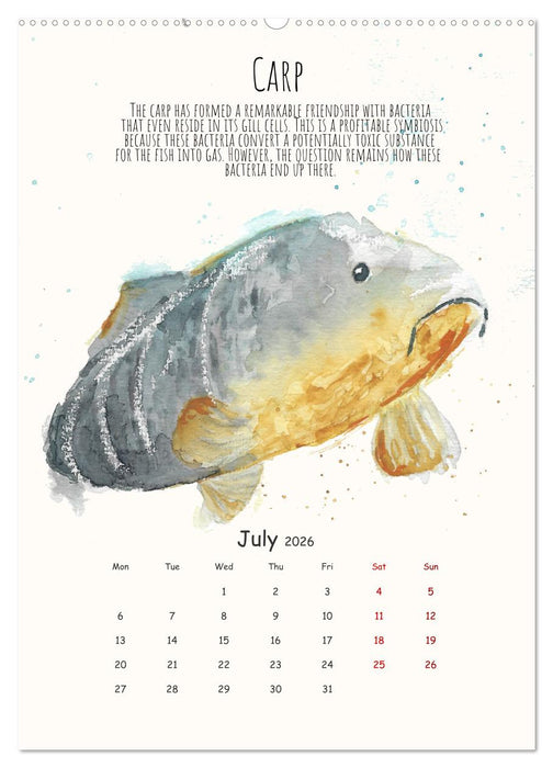 Symbiosis, the story of collaborations in nature (CALVENDO Premium-Calendar 2026)