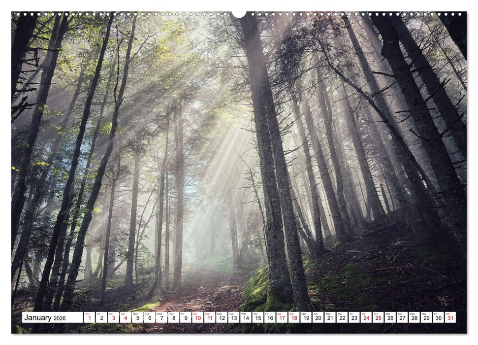 Hiking the GR 10 A long distance trail through the French Pyrenees (CALVENDO Premium-Calendar 2026)