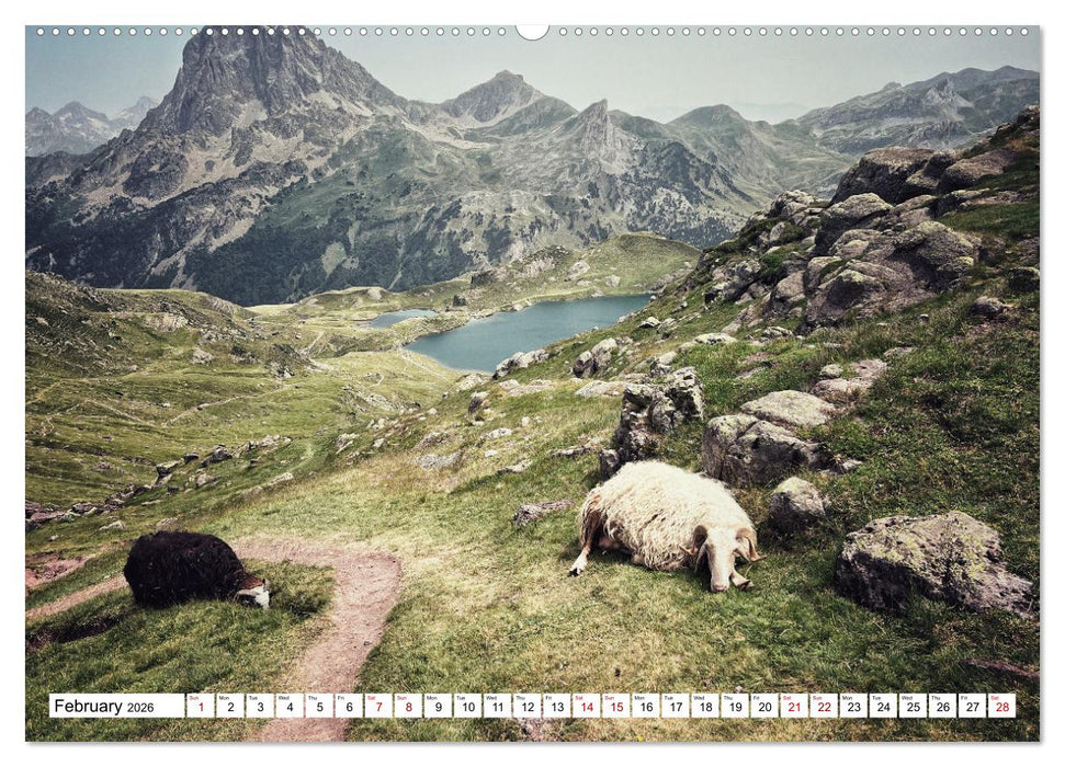 Hiking the GR 10 A long distance trail through the French Pyrenees (CALVENDO Premium-Calendar 2026)
