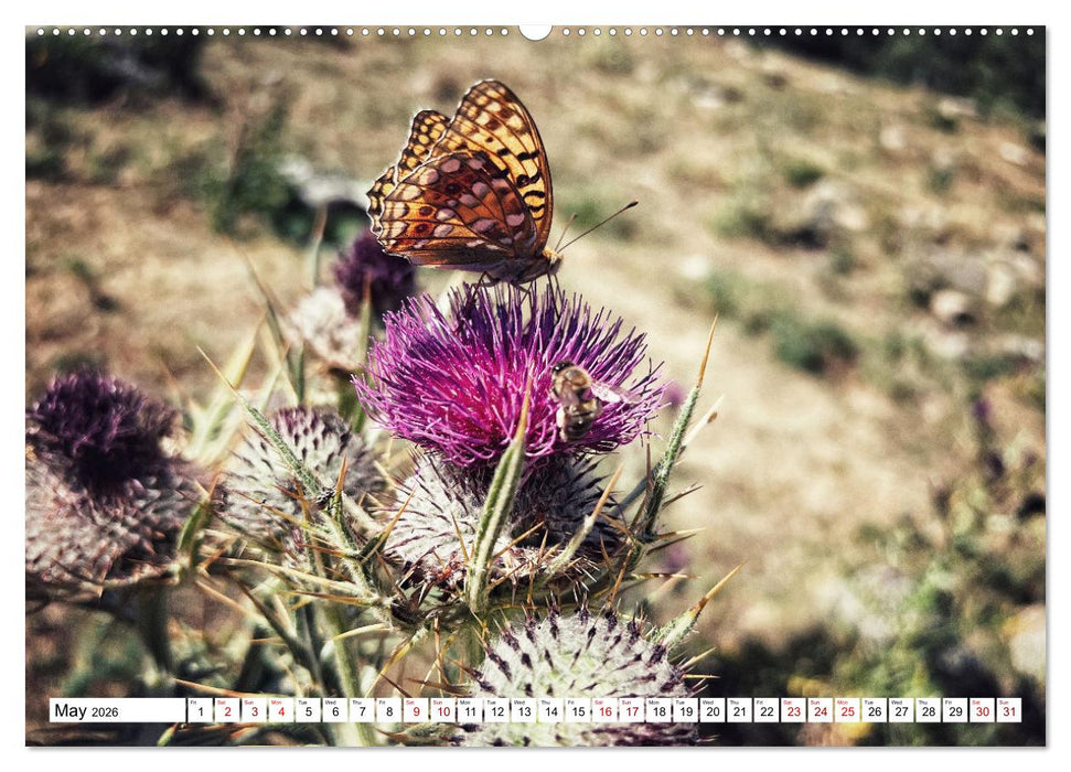 Hiking the GR 10 A long distance trail through the French Pyrenees (CALVENDO Premium-Calendar 2026)