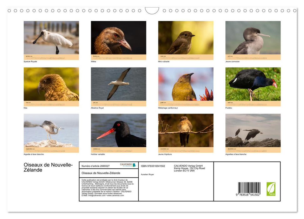 Oiseaux de Nouvelle-Zélande (CALVENDO Calendrier mensuel 2026)