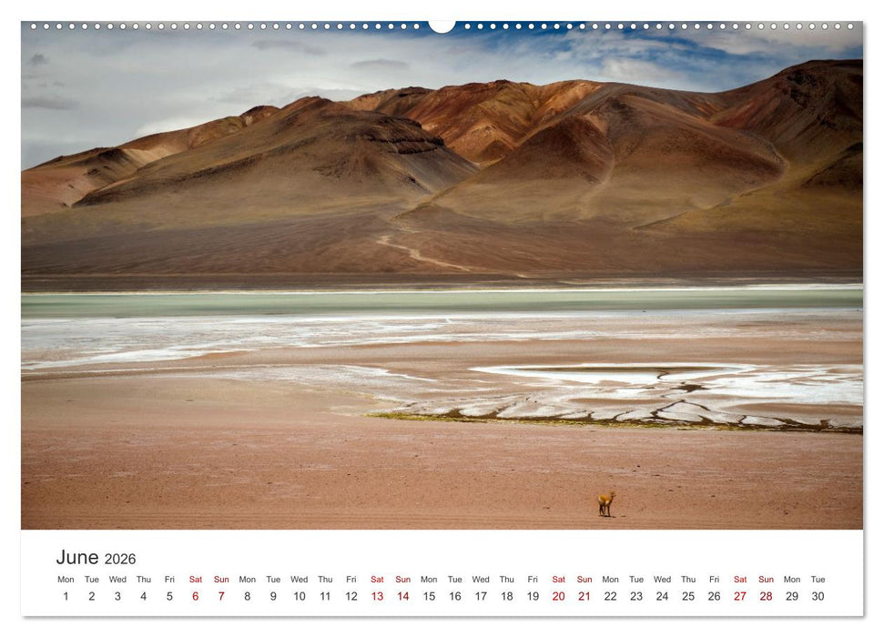 A quick trip to Argentina and Chile (CALVENDO Monthly Calendar 2026)