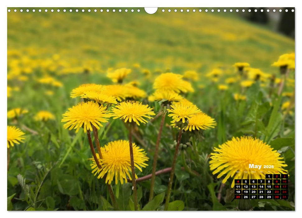 Engadine 2026 - Nature and landscapes (CALVENDO Monthly Calendar 2026)