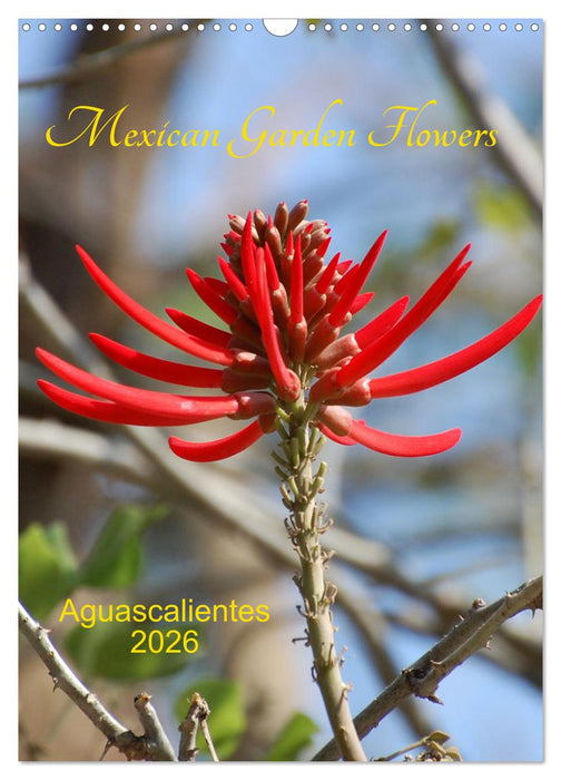 Mexican Garden Flowers - Aguascalientes (CALVENDO Monthly Calendar 2026)