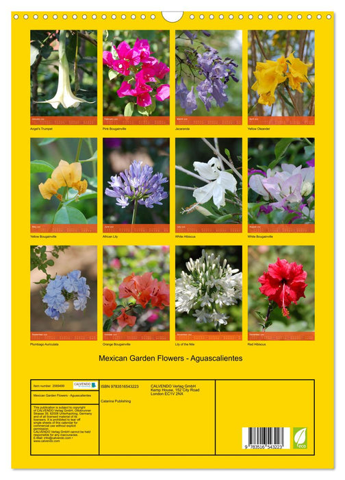 Mexican Garden Flowers - Aguascalientes (CALVENDO Monthly Calendar 2026)