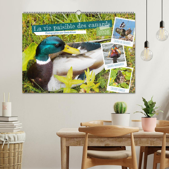 La vie paisible des canards (CALVENDO Calendrier mensuel 2026)