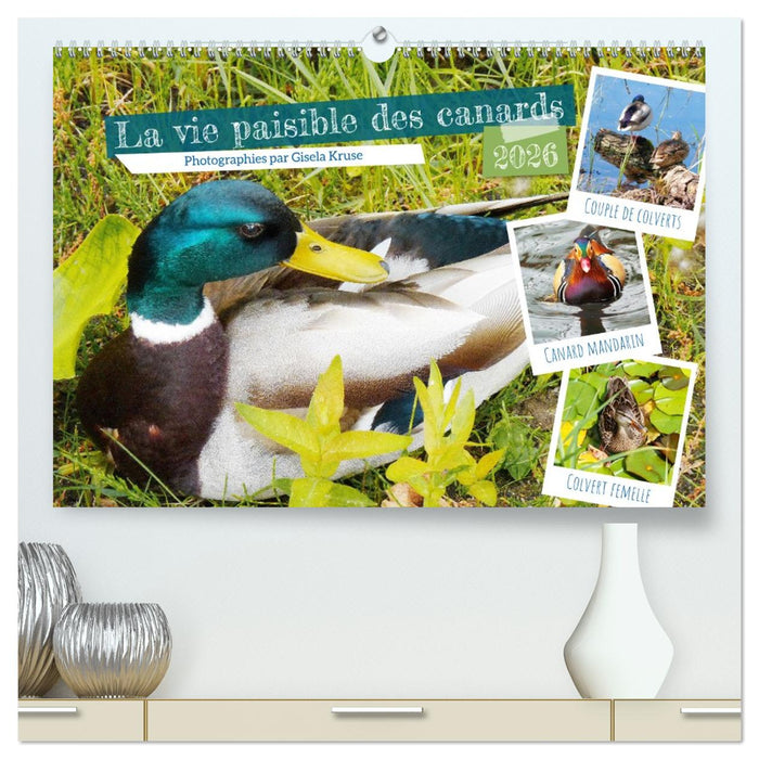 La vie paisible des canards (CALVENDO Calendrier supérieur 2026)