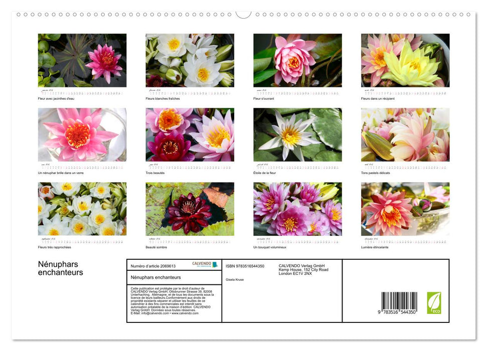 Nénuphars enchanteurs (CALVENDO Calendrier supérieur 2026)