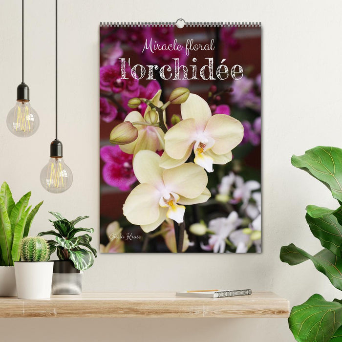 Miracle floral l'orchidée (CALVENDO Calendrier mensuel 2026)