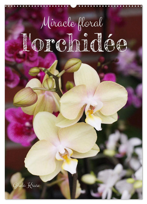Miracle floral l'orchidée (CALVENDO Calendrier mensuel 2026)