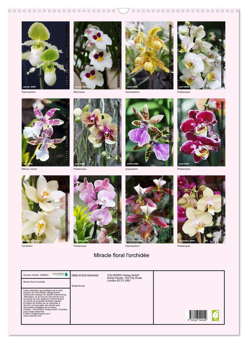 Miracle floral l'orchidée (CALVENDO Calendrier mensuel 2026)