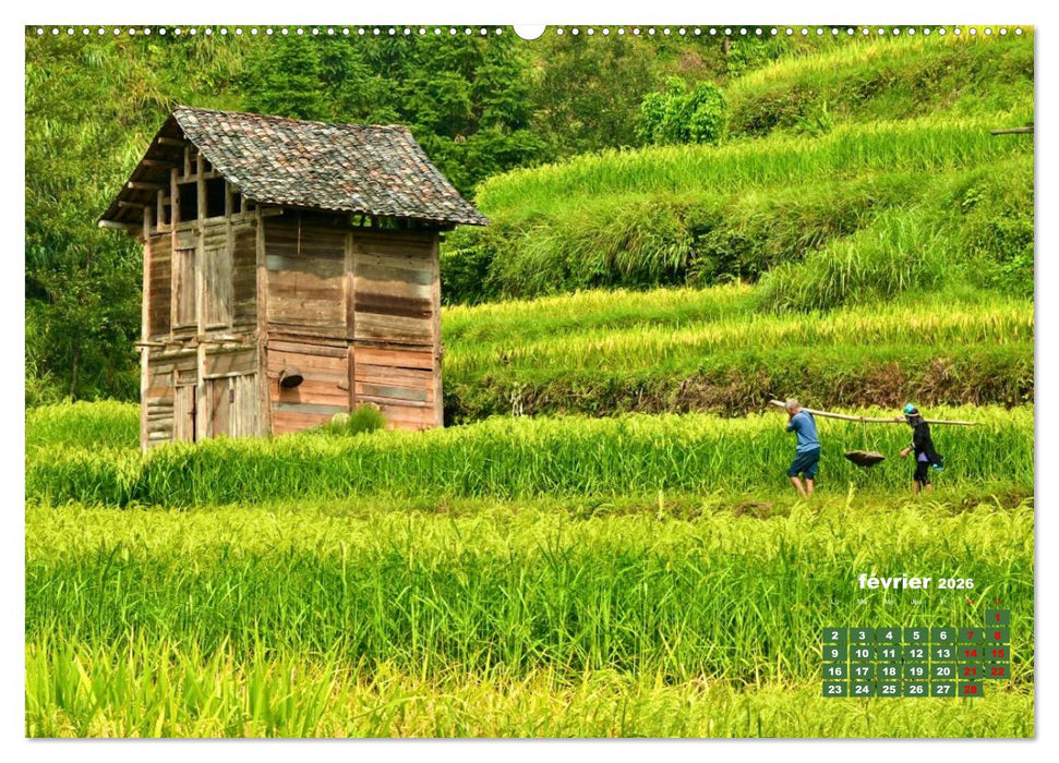 Riz de Chine (CALVENDO Calendrier mensuel 2026)