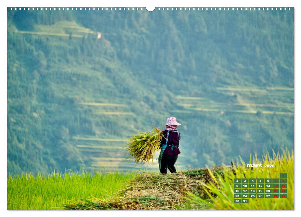 Riz de Chine (CALVENDO Calendrier mensuel 2026)