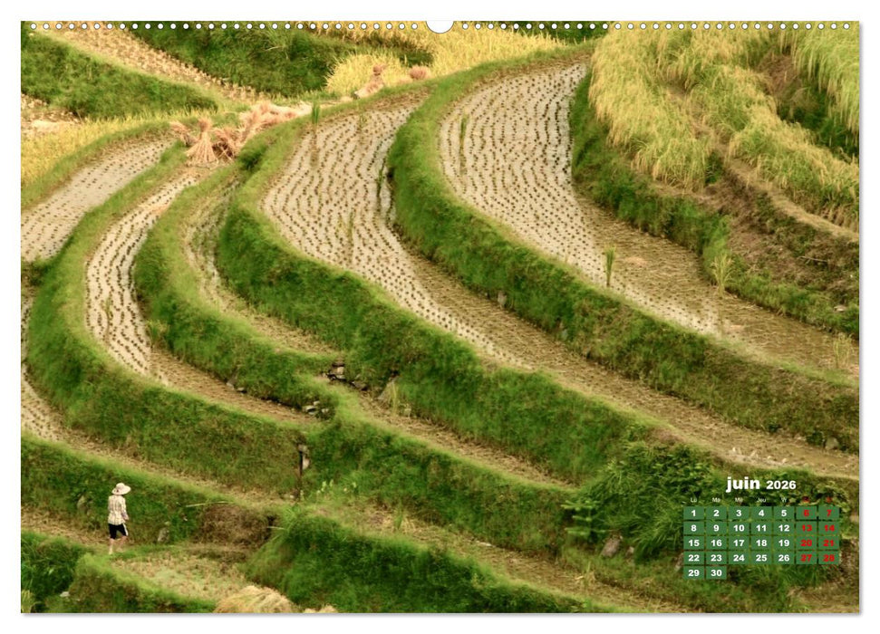 Riz de Chine (CALVENDO Calendrier mensuel 2026)