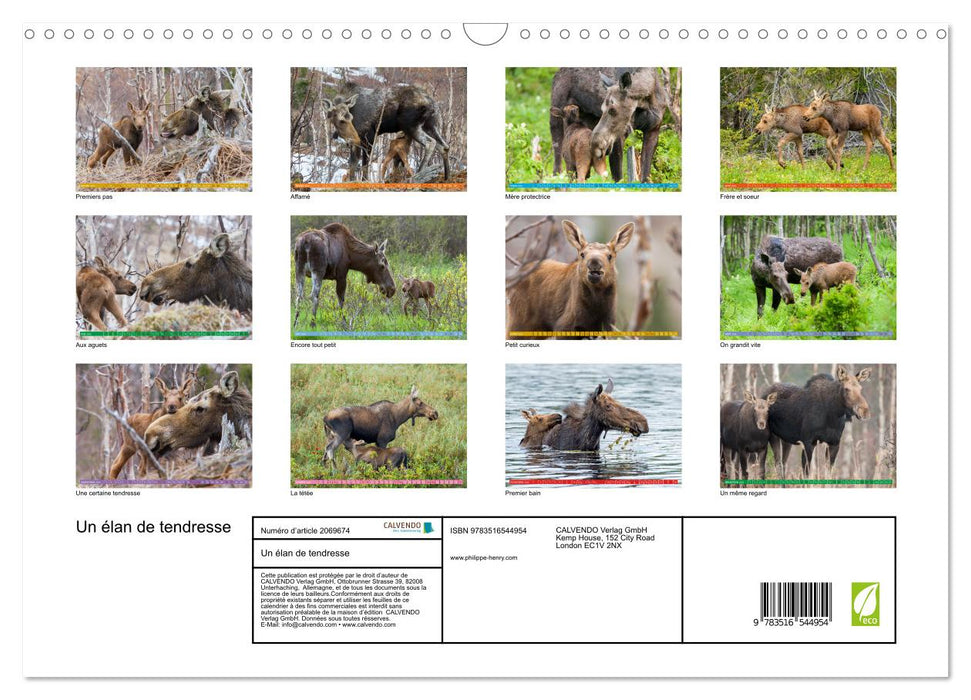 Un élan de tendresse (CALVENDO Calendrier mensuel 2026)