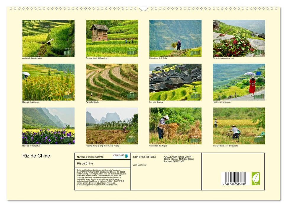 Riz de Chine (CALVENDO Calendrier supérieur 2026)