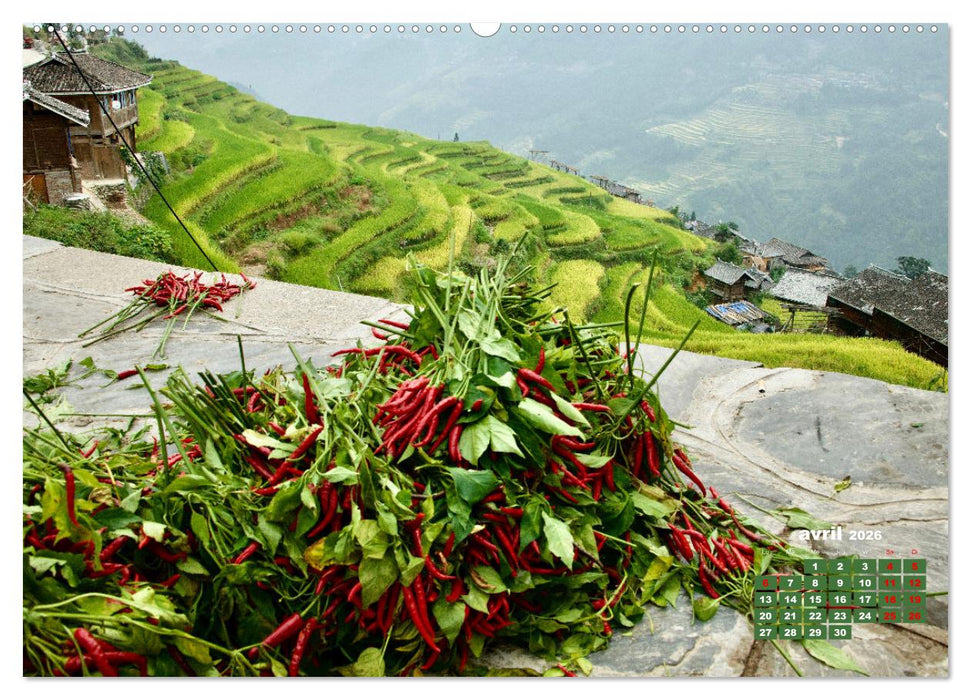 Riz de Chine (CALVENDO Calendrier supérieur 2026)