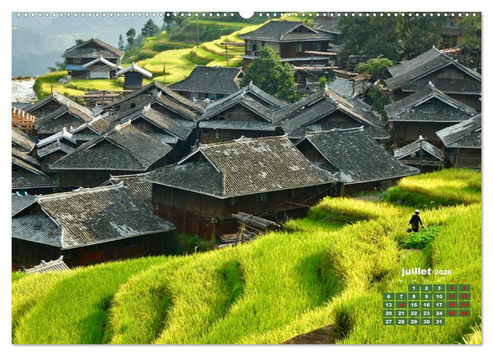 Riz de Chine (CALVENDO Calendrier supérieur 2026)